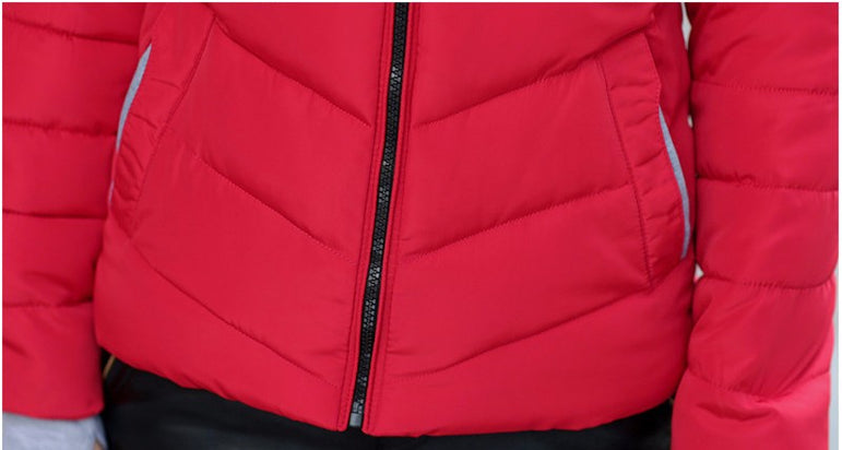 Short Cotton padded women Winter jacket