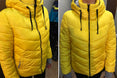 Short Cotton padded women Winter jacket