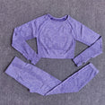 High Waist Long Sleeve Crop Top Seamless Yoga Set