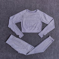 High Waist Long Sleeve Crop Top Seamless Yoga Set