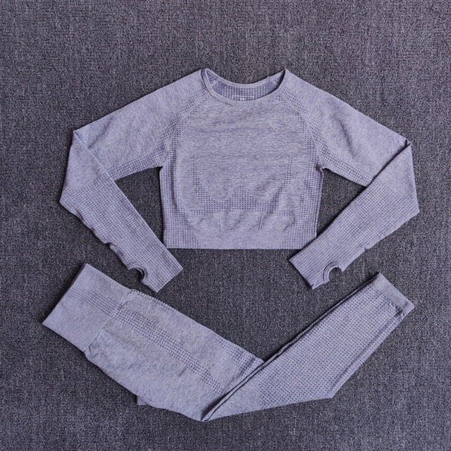 High Waist Long Sleeve Crop Top Seamless Yoga Set