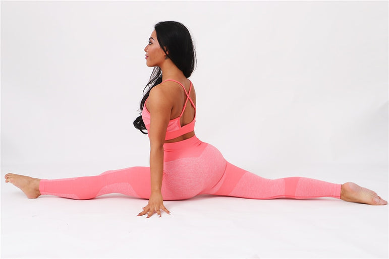 High Waist Yoga Seamless Stretch Leggings