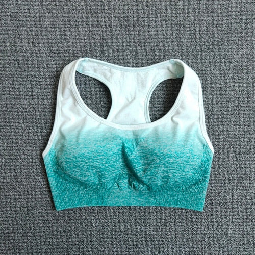 Seamless Workout Yoga Set