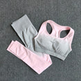 Seamless Workout Yoga Set