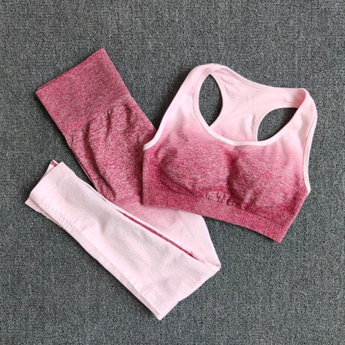 Seamless Workout Yoga Set