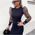 Elegant Mesh Sheer Long Sleeve Bodycon Mini Dress