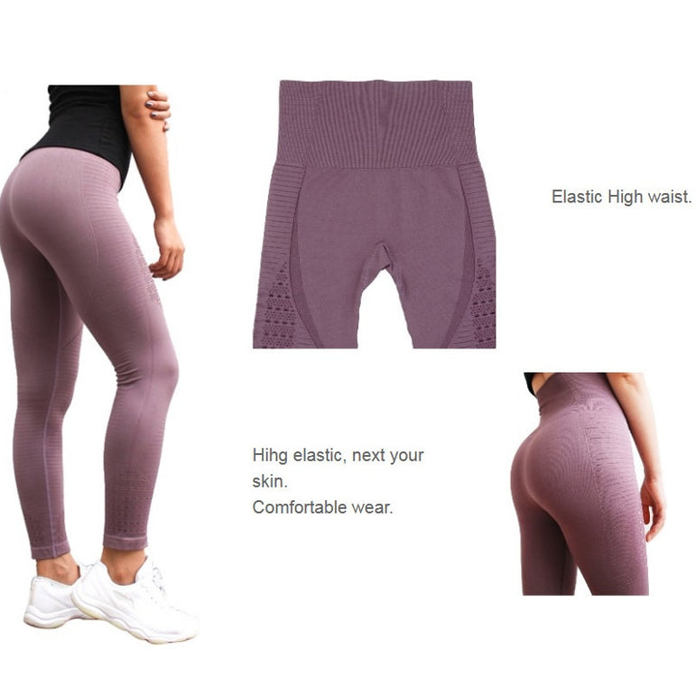 High Waisted Gym Shark Seamless Yoga Pants Leggings