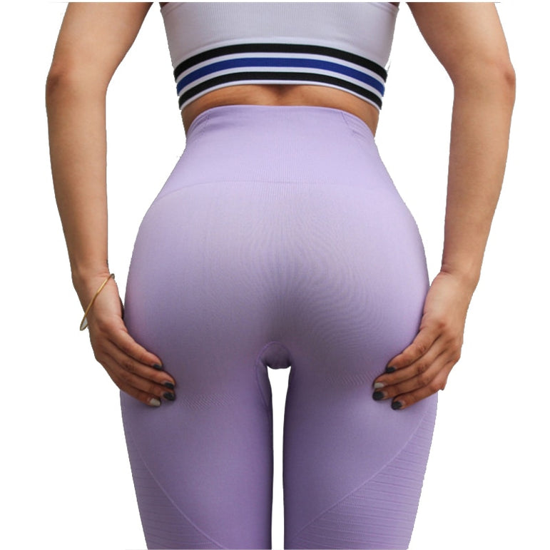 High Waisted Gym Shark Seamless Yoga Pants Leggings