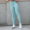 High Waisted Gym Shark Seamless Yoga Pants Leggings