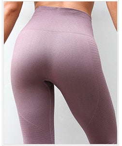 High Waisted Gym Shark Seamless Yoga Pants Leggings