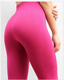 High Waisted Gym Shark Seamless Yoga Pants Leggings