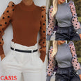 Casual Polka Dots Mesh Puff Long Sleeve Blouse