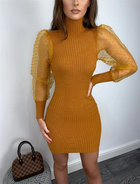 Elegant Mesh Sheer Long Sleeve Bodycon Mini Dress