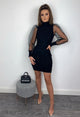 Elegant Mesh Sheer Long Sleeve Bodycon Mini Dress