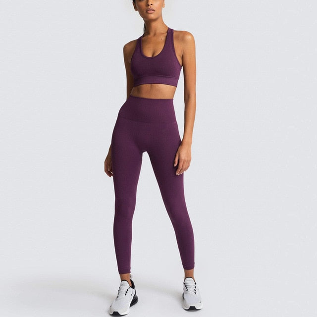 Seamless Gym Yoga Set