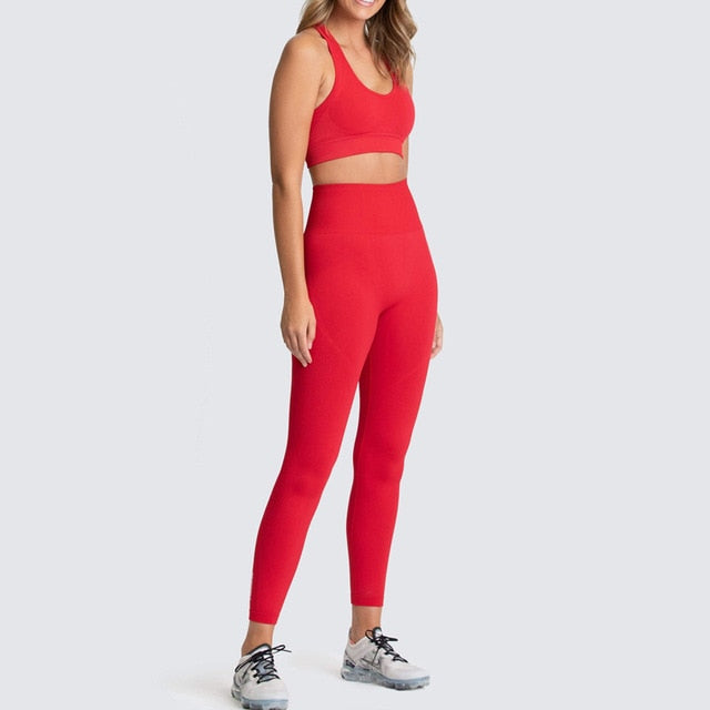 Seamless Gym Yoga Set