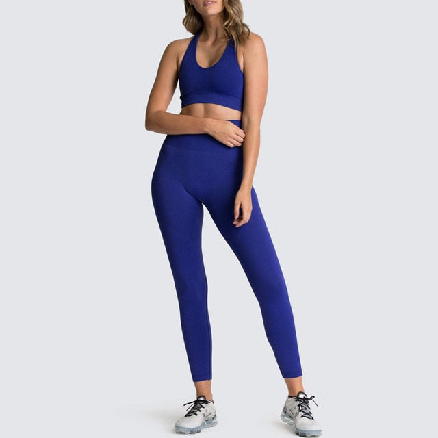 Seamless Gym Yoga Set