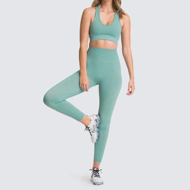 Seamless Gym Yoga Set