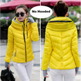 Short Cotton padded women Winter jacket