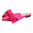 Pointed Bow tie Slippers