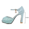 Lace Mesh Fish Mouth High Heel